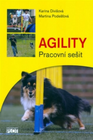 Agility Pracovní sešit