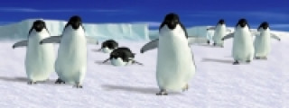 Záložka Úžaska Pochodující tučňáci
