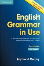 English Grammar in Use 4ed W/A