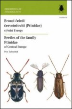 Brouci čeledi červotočovití (Ptinidae)