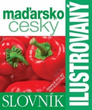 Ilustrovaný maďarsko český slovník