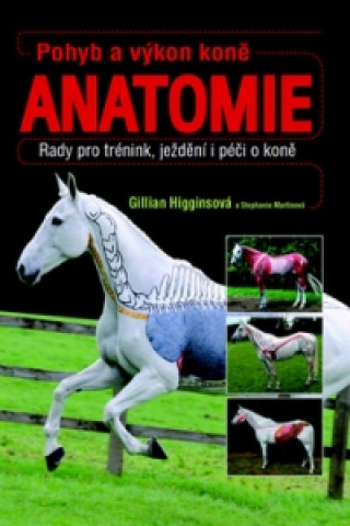 Pohyb a výkon koně Anatomie