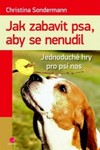 Jak zabavit psa, aby se nenudil