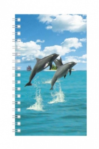 Deníček Úžaska Delfíni