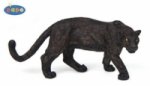 Jaguár černý