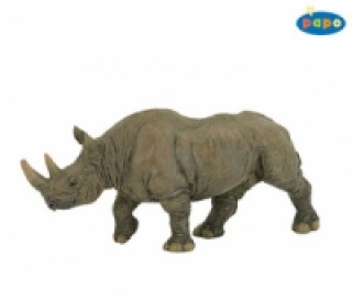 Nosoroďż˝ec ďż˝ernďż˝