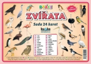 Sada 24 karet Ptáci