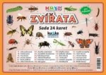 Sada 24 karet Zvířata hmyz