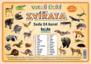 Sada 24 karet Zvířata volně žijící