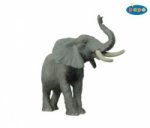 Slon Africký troubící