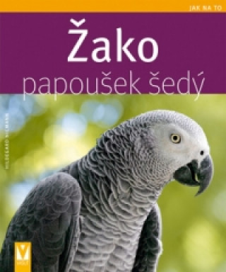 Žako papoušek šedý