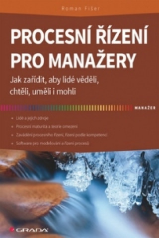 Procesní řízení pro manažery