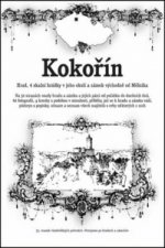 Kokořín