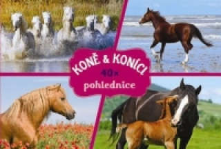 Koně a koníci 40x pohlednice