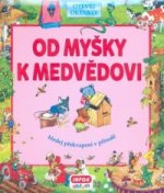 Od myšky k medvědovi