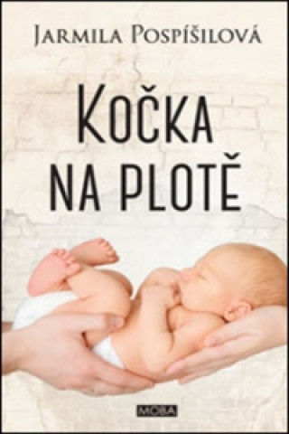 Kočka na plotě