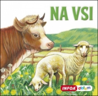 Na vsi