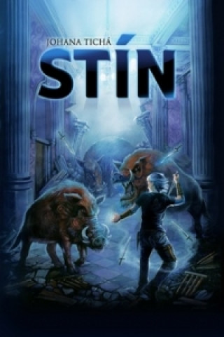 Stín