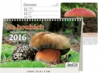 Na houbách 2016 - stolní kalendář