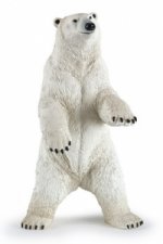 Medvěd lední stojící