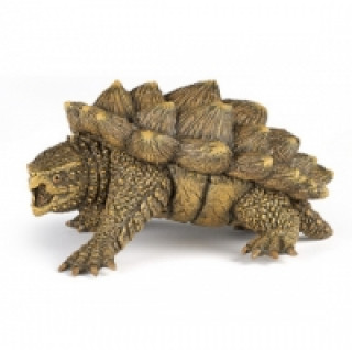 Tortuga caimán
