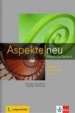 Aspekte neu B1+ Arbeitsbuch, CD