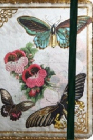 Zápisník s gumičkou 178x126 mm motýli F
