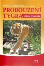Probouzení tygra Léčení traumatu
