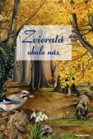 Zvieratďż˝ okolo nďż˝s
