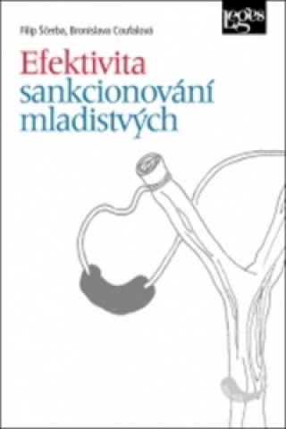 Efektivita sankcionování mladistvých