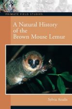 Natural History of the Brown Mouse Lemur