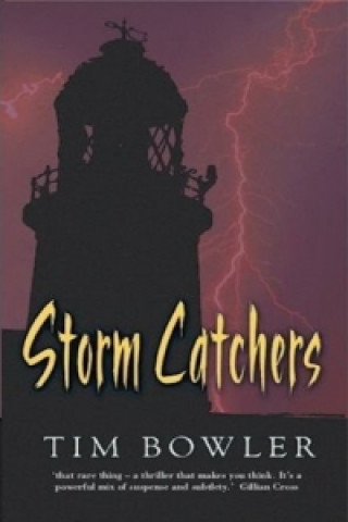 Rollercoasters: Storm Catchers