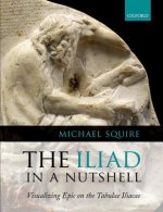 Iliad in a Nutshell
