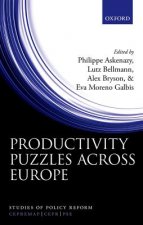 Productivity Puzzles Across Europe