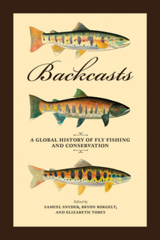 Backcasts