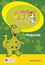 Dex the Dino Level 0 Flashcards