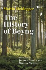 History of Beyng