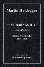 Ponderings II-VI, Limited Edition