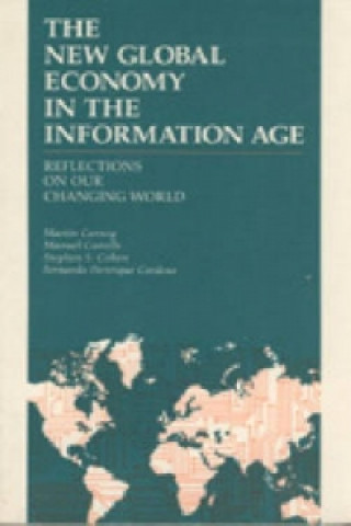 New Global Economy in the Information Age