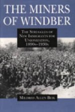 THE MINERS OF WINDBER