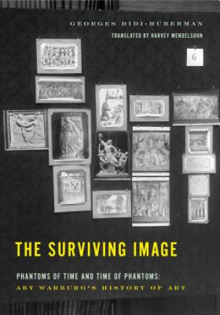 Surviving Image