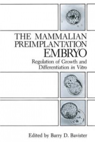 Mammalian Preimplantation Embryo