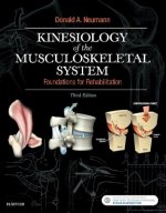 Kinesiology of the Musculoskeletal System