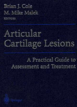 Articular Cartilage Lesions