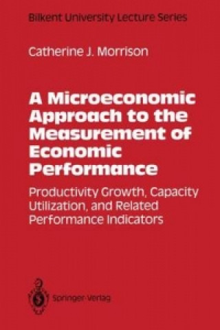 Microeconomic Approach to the Measurement of Economic Performance