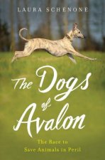 Dogs of Avalon