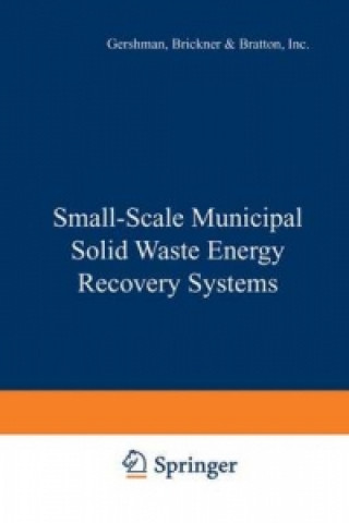 Small-scale Municipal Solid Waste Energy Recovery Systems