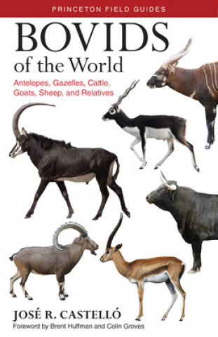Bovids of the World (Jose R. Castello)(Brožovaná)