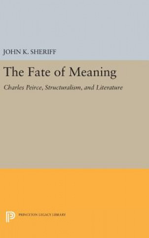 Fate of Meaning