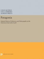 Patagonia